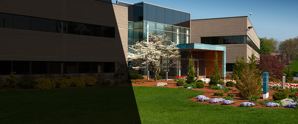 Newbury Park Landscapers