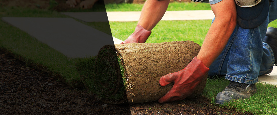 Newbury Park Landscapers